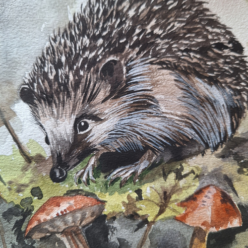 ハリネズミ　油彩画　原画 71Y5ahJINvL._UF1000,1000_QL80_.jpg