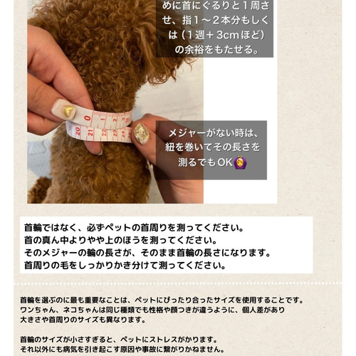 迷子札】2本セット♪ 全16色 犬用 本革迷子札 調整可能