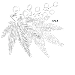 紅葉と赤い実のかんざし もみじ 簪 髪飾り ヘアアクセサリー モミジ uピン　かんざし 2枚目の画像