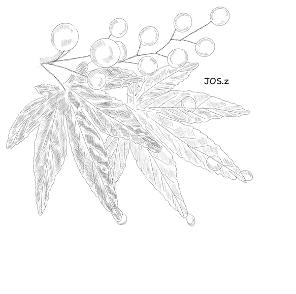 紅葉と赤い実のかんざし もみじ 簪 髪飾り ヘアアクセサリー モミジ uピン　かんざし 2枚目の画像