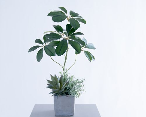 b1325ffd911673de24c36fa5424231