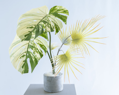 2b1310a4c5605da26dc4004dc5a27e