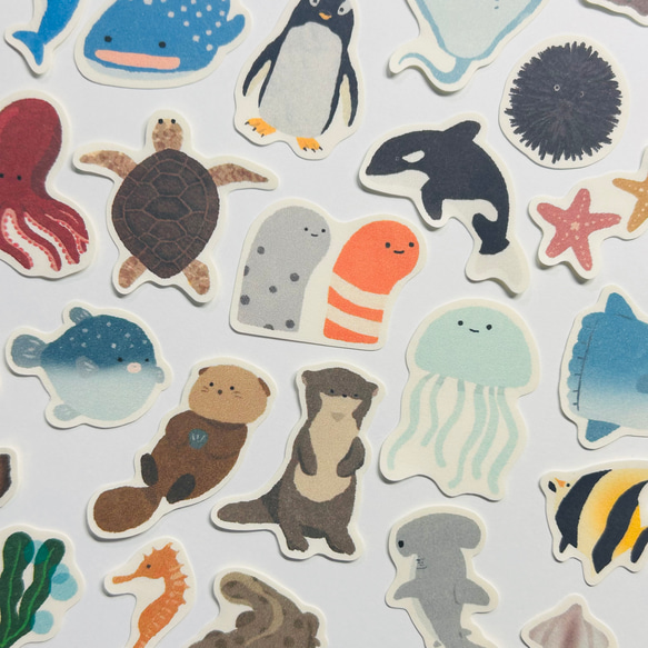 海の生き物 ステッカーアート 金色フレーム 海の生き物 ステッカー