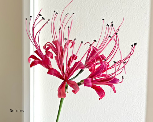 4ab26c225f78984795860e89722c1c