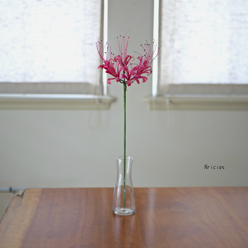 レッド曼珠沙華アレンジクレイフラワー
