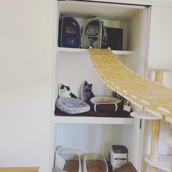 小物 cat walk キャットウォーク おもちゃ・ペット小物 ハンドメイドSHOP-KICHI 通販