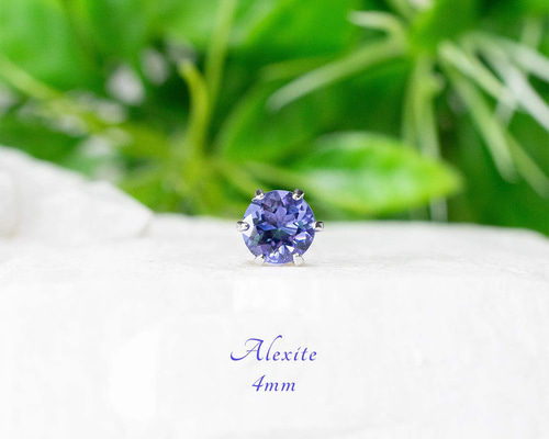 f556036e62ad3a76566b6e429410dc