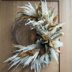 9041f67c0b82275a4a862453700759