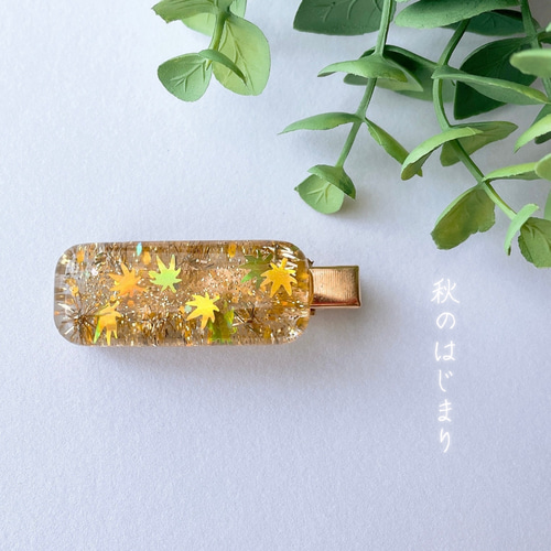 レジン》ヘアクリップ / 秋のはじまり ヘアクリップ・バナナクリップ