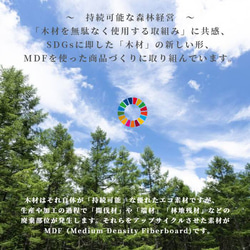 andon  優しい灯が自分時間を作り出す。夜だけでなく、日中も美しいラインがお部屋のアクセント、手持ちもできる 10枚目の画像