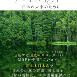 klf-pl　インテリアプレート 壁飾り 和柄 (きめつ柄) ウォールデコレーション インテリア雑貨 置物 おしゃれ 10枚目の画像