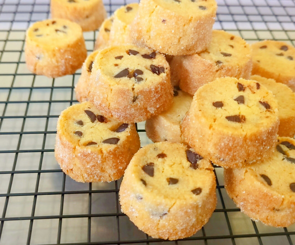 さくホロ切り株ディアマンクッキー✨バニラ＆チョコチップ✨ クッキー