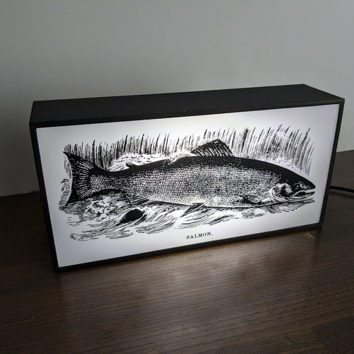 魚拓風 鮭 トラウト サーモン サケ マス SALMON 釣り