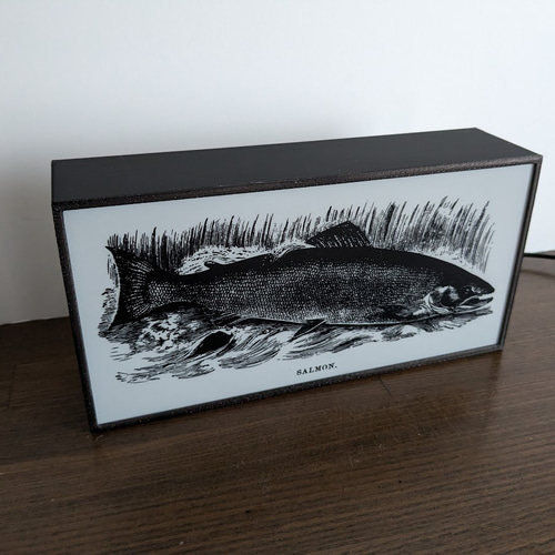 魚拓風 鮭 トラウト サーモン サケ マス SALMON 釣り