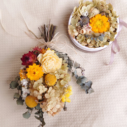 未使用☆春色リース☆グリーン☆C ぷにぷに多肉植物 ウォールグリーンリース フェイクグリーン