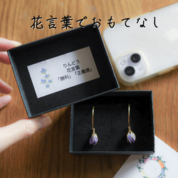 【九月生月花】龍膽耳夾 第7張的照片