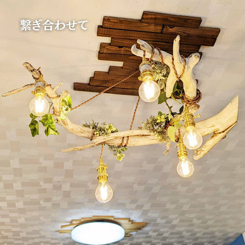 限定1台！ 希少な大型根流木のペンダントライト5灯 RUKA LED電球