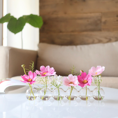 ずっと咲いてる》ベルギーのガラス花瓶6連コスモスのハーモニーバブル