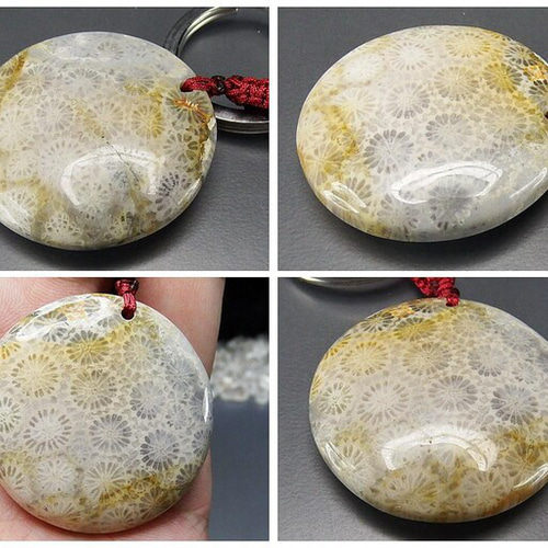 【天然】花化石【希少】 レア品菊花石珊瑚化石キーホルダー天然石コーラル208-033a その他