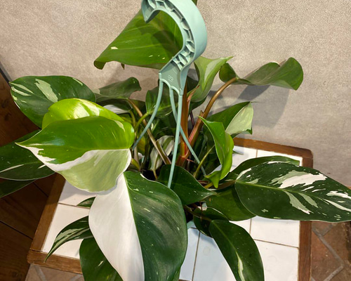 e8f0d28e90715453247ce48e206e40