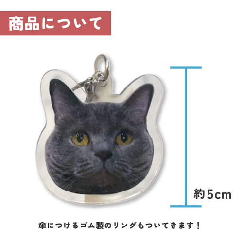 ペット 家族 オリジナルグッズ オーダーメイド わがや 子供 猫 犬 うち