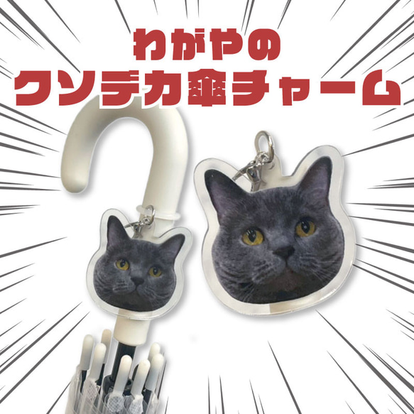 ペット 家族 オリジナルグッズ オーダーメイド わがや 子供 猫 犬 うち