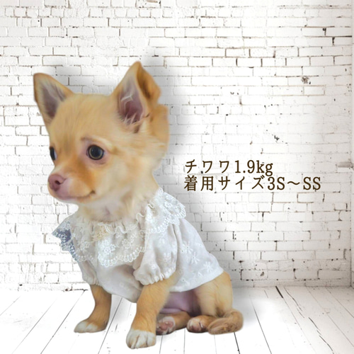 ナチュラル犬服＊コットンレースチュールフリル/コットンダブルガーゼ