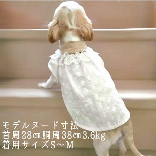 ナチュラル犬服＊コットンレースチュールフリル/コットンダブルガーゼ