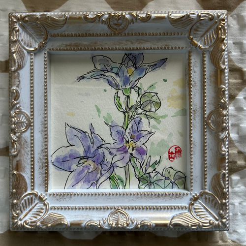 桔梗（ミニ)(原画、桔梗の花、透明水彩、写真立て入り） 絵画