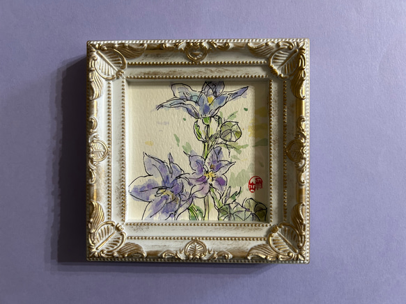 桔梗（ミニ)(原画、桔梗の花、透明水彩、写真立て入り） 絵画