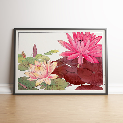 蓮の花日本画インテリアポスター☆ピンク色花柄和室和モダン浮世絵和柄