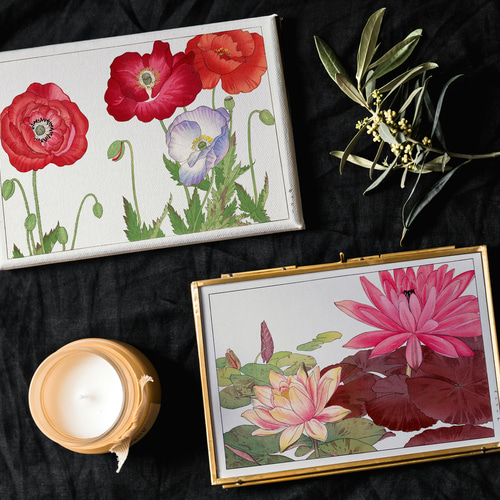 蓮の花日本画インテリアポスター☆ピンク色花柄和室和モダン浮世絵和柄