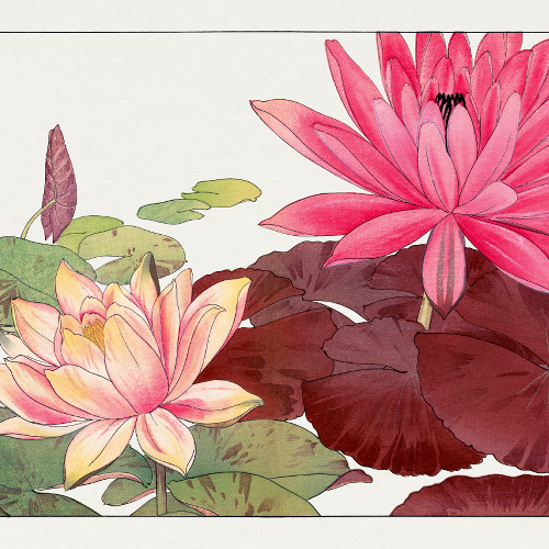 蓮の花日本画インテリアポスター☆ピンク色花柄和室和モダン浮世絵和柄