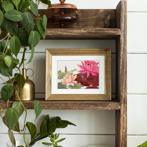 蓮の花日本画インテリアポスター☆ピンク色花柄和室和モダン浮世絵和柄