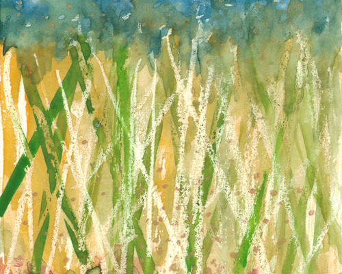 e960e44b5342afe220c0d16b70c038