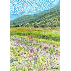 田植えの季節(水彩画 2022年作 フレーム付き) 田植え 田んぼ 水彩画 水彩の写真素材 - PIXTA