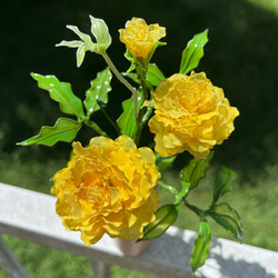 3cdf1380b8a90305ab6286483d569a