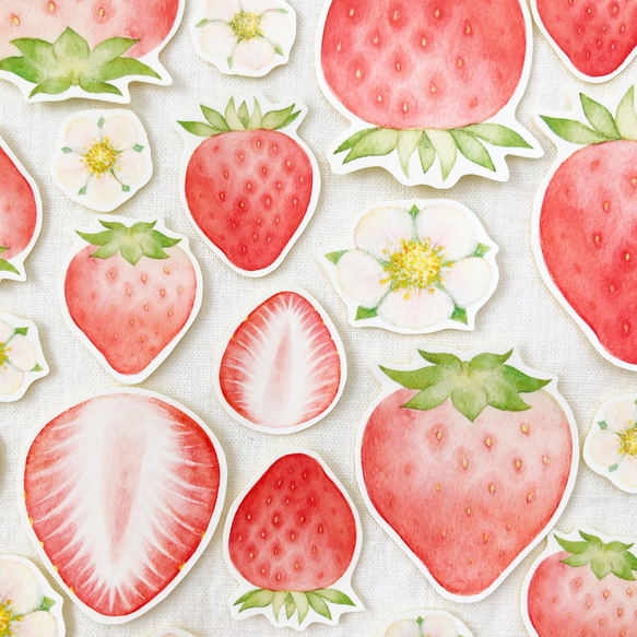いちご フレークシール 1枚目の画像