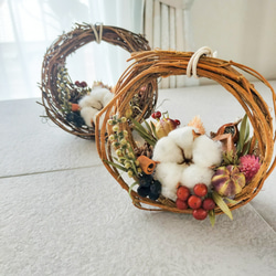 スカビオサドラムスティック ドライフラワー 20本 ドライフラワー