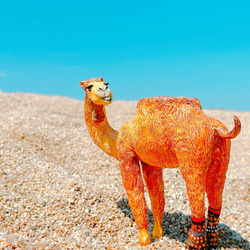 b5125e328119e6bd3b6525046694f7