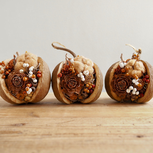 木の実詰め合わせ　No.380 しあわせの実」秋を楽しむ木の実のブッダナッツ 秋限定2025 ドライ