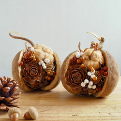 しあわせの実」秋を楽しむ木の実のブッダナッツ 秋限定2025 ドライ