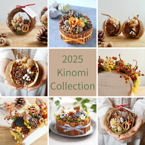 木の実詰め合わせ　No.530 木の実詰め合わせ No.530 しあわせの実」秋を楽しむ木の実のブッダ