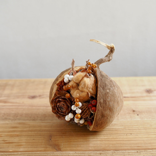 木の実詰め合わせ No.530 しあわせの実」秋を楽しむ木の実のブッダ