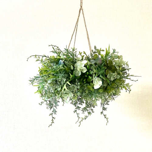 アイスグリーンの爽やかな紫陽花フライングリース アイスグリーンの爽やかな紫陽花フライングリース