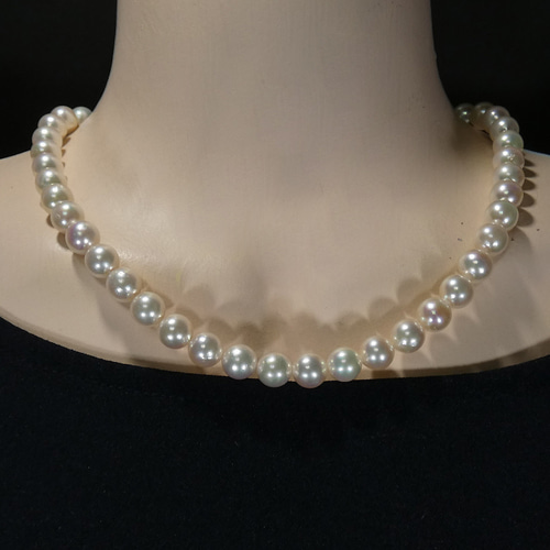 アコヤ本真珠ネックレス 日本産 8.5-9.0mm / 8.5mm珠パール