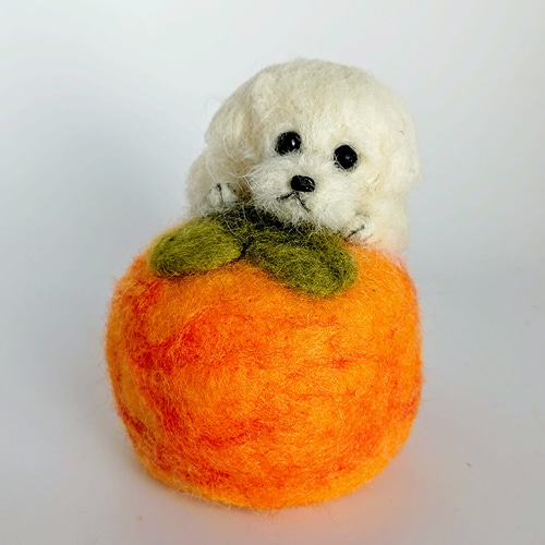 羊毛フェルト マルチーズと柿のピンクッション 羊毛フェルト Rurumaru