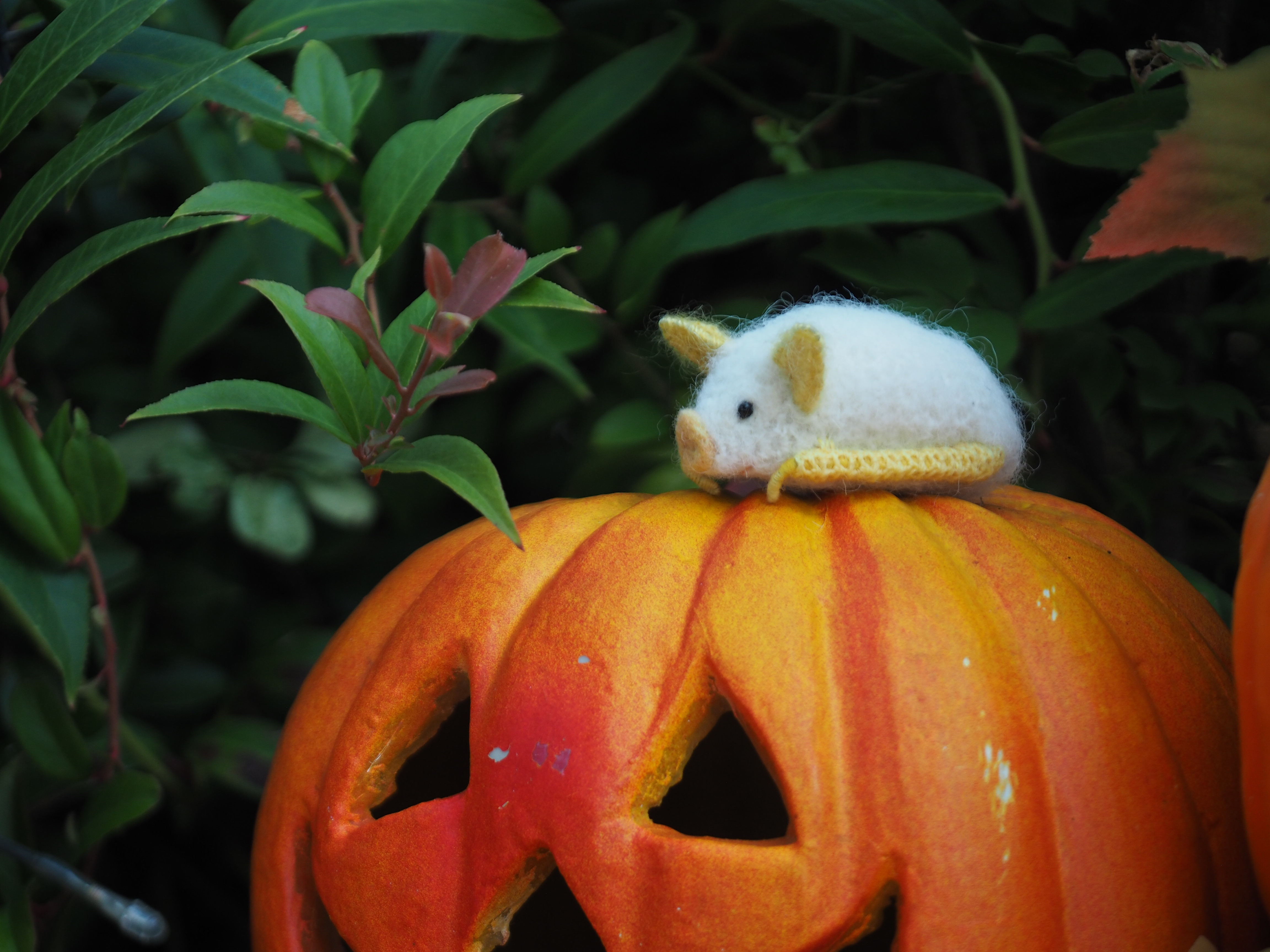 シロヘラコウモリのマグネット