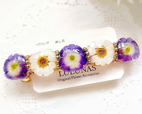 253404583682dcab41512439c3d3ea