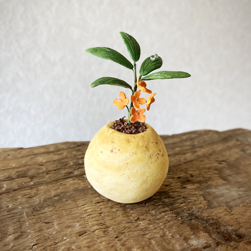 8957.bud 粘土の鉢植え キンモクセイ その他インテリア雑貨 bud